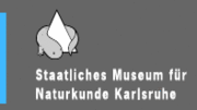 Logo Museum Logo Museum