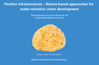 Event announcement for panel on nature-based, water-sensitive urban development, with sponge image.