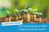 Junge Pflänzchen wachsen aus gestapelten Münzen in Erde, EUCOR SEED MONEY-Werbebanner.