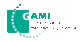 GAMI