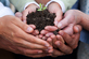 S16_seedMoney  Credits_ Leaf_Can Stock Photo
